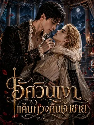 อัศวินเงาแค้นทวงคืนเจ้าชาย