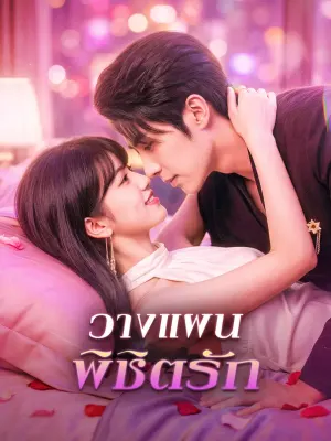 วางแผน พิชิตรัก