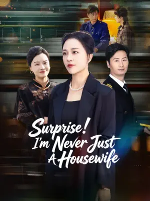 Surprise! I'm Never Just A Housewife