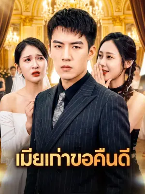 เมียเก่าขอคืนดี