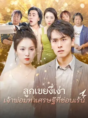 ลูกเขยงี่เง่า เจ้าพ่อมหาเศรษฐีที่ซ่อนเร้น