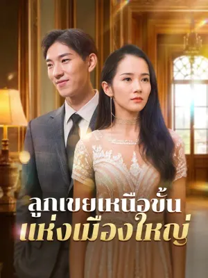 ลูกเขยเหนือขั้นแห่งเมืองใหญ่