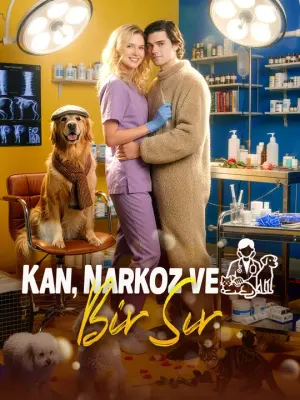 Kan, Narkoz ve Bir Sır