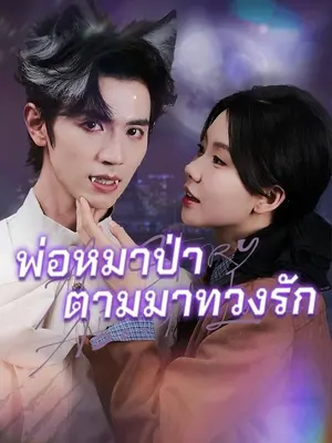 พ่อหมาป่าตามมาทวงรัก