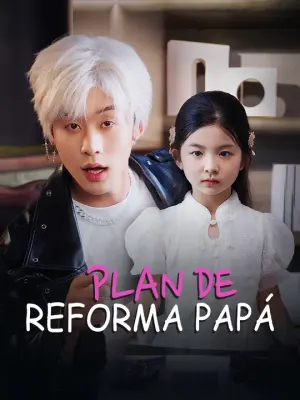 Plan de reforma papá