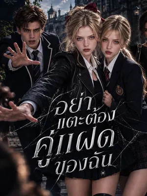 อย่าแตะต้องคู่แฝดของฉัน