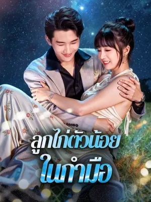 ลูกไก่ตัวน้อย ในกำมือ