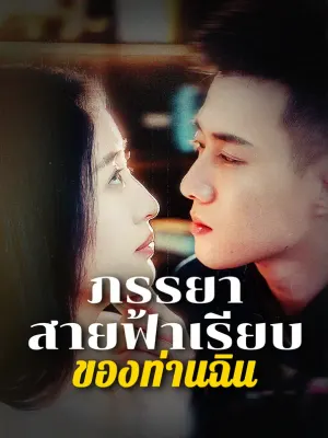 ภรรยาสายฟ้าแลบของท่านฉิน
