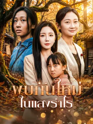 พบกันใหม่ ในแสงรำไร