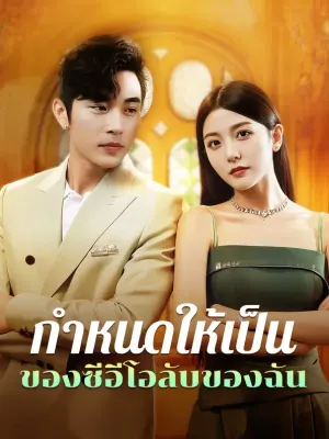 กำหนดให้เป็น ของซีอีโอลับของฉัน