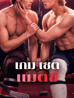 เกม เซต แมตช์