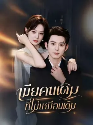 เมียคนเดิมที่ไม่เหมือนเดิม
