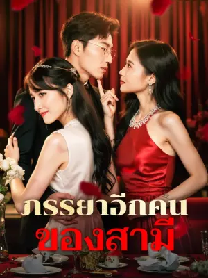 ภรรยาอีกคน ของสามี