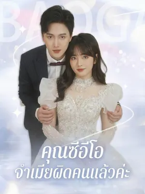 คุณซีอีโอ จำเมียผิดคนแล้วค่ะ