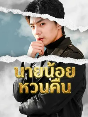 นายน้อยหวนคืน