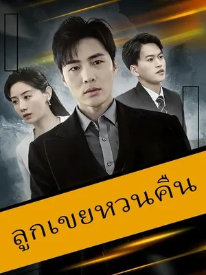 ลูกเขยหวนคืน