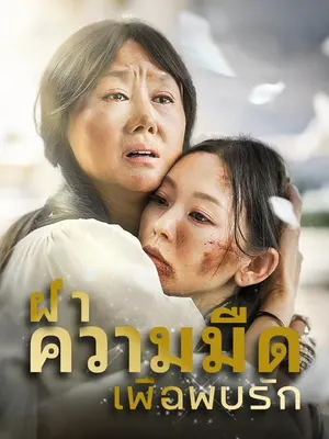 ฝ่าความมืด เพื่อพบรัก