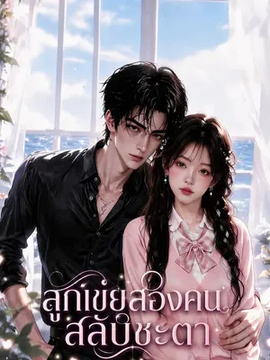 ลูกเขยสองคนสลับชะตา