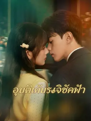 อุบัติเหตุรักลิขิตฟ้า