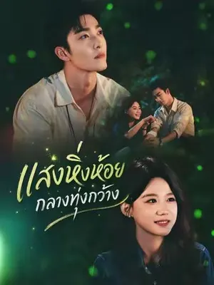 แสงหิ่งห้อยกลางทุ่งกว้าง