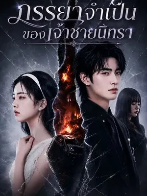 ภรรยาจำเป็นของเจ้าชายนิทรา