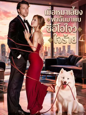 เมื่อหมาเลี้ยงพาฉันมาพบซีอีโอใจร้าย