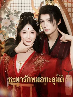 ชะตารักหมอทะลุมิติ