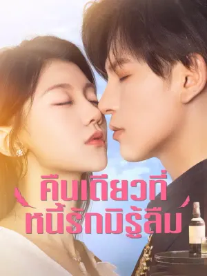 คืนเดียวที่หนี้รักมิรู้ลืม