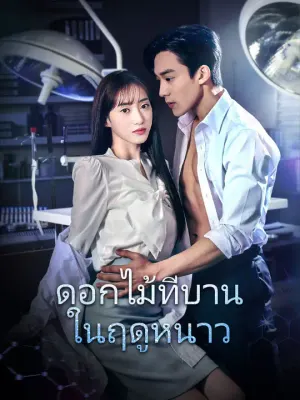 ดอกไม้ที่บานในฤดูหนาว
