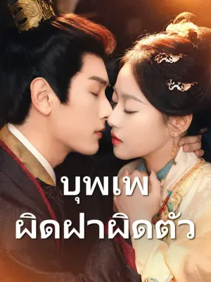 บุพเพผิดฝาผิดตัว