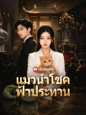 แมวนำโชคฟ้าประทาน