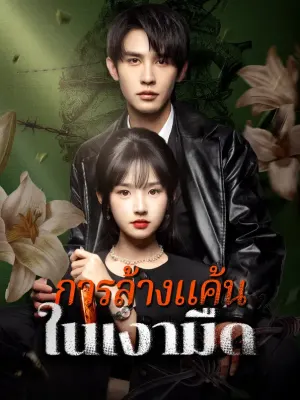 การล้างแค้นในเงามืด