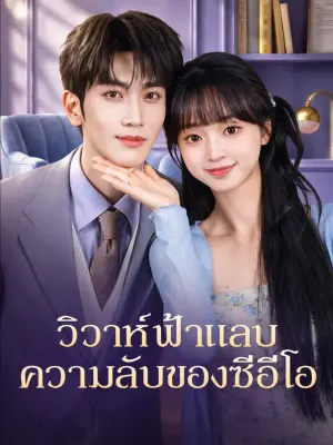 วิวาห์ฟ้าแลบ ความลับของซีอีโอ