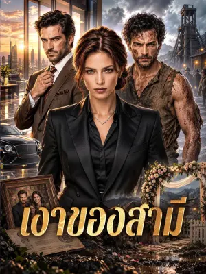 เงาของสามี