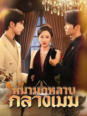 หนามกุหลาบกลางเมฆ