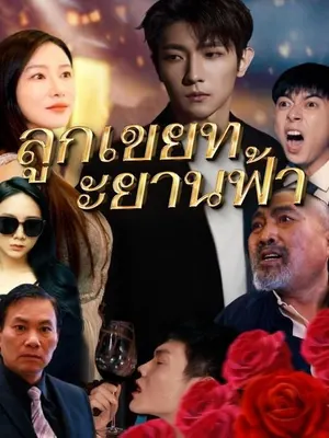 ลูกเขยทะยานฟ้า