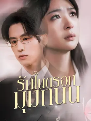 รักในตรอกมุมถนน