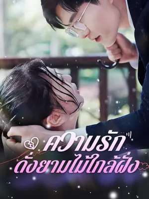 ความรักดั่งยามไม้ใกล้ฝั่ง
