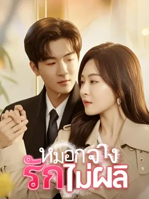 หมอกจาง รักไม่ผลิ