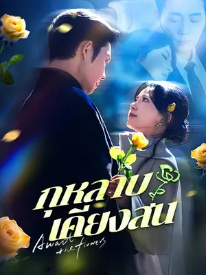 กุหลาบเคียงสน