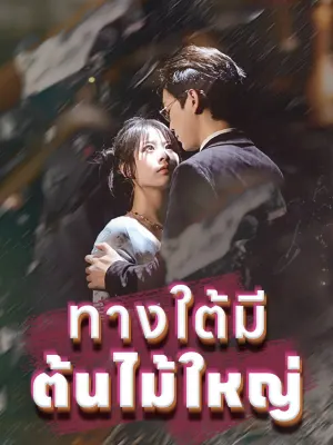 ทางใต้มีต้นไม้ใหญ่