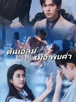 ต้นเอลม์ เมื่อ พบค่ำ