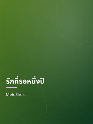 รักที่รอหนึ่งปี