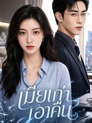เมียเก่าเอาคืน