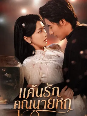 แค้นรักคุณนายหก