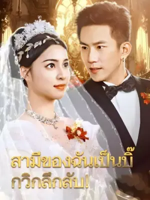 สามีของฉันเป็นบิ๊กวิกลึกลับ!