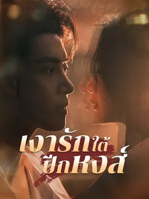 เงารักใต้ปีกหงส์