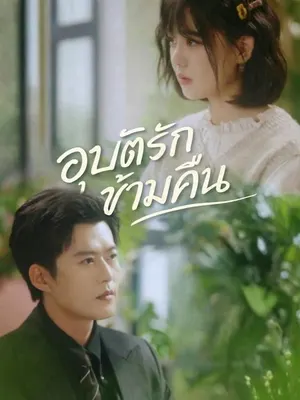 อุบัติรักข้ามคืน