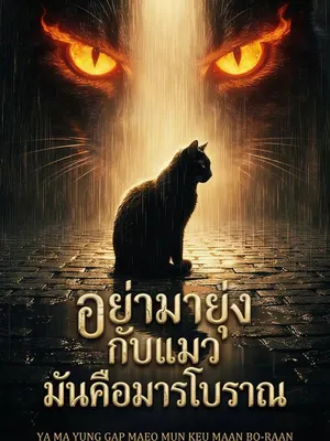 อย่ามายุ่งกับแมว มันคือมารโบราณ