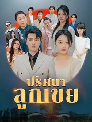 ปริศนาลูกเขย